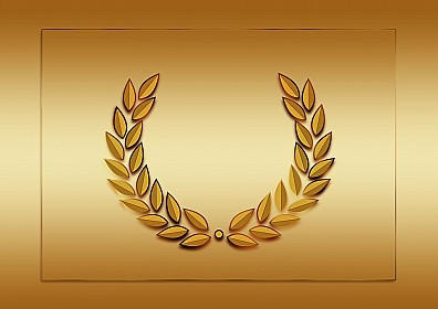 Объявление Благодарности Министра спорта РФ